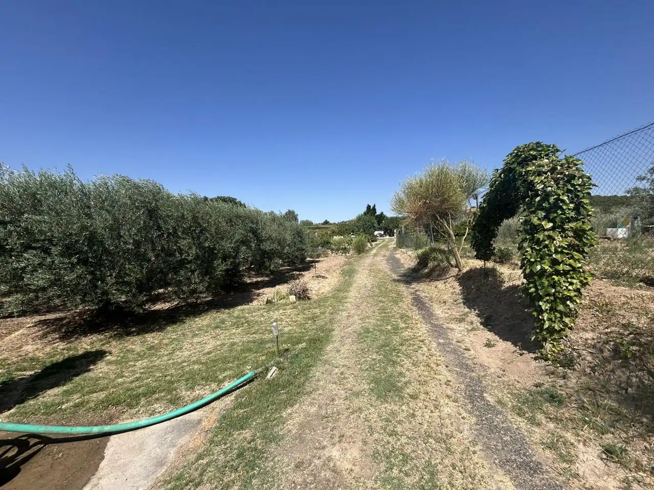 Country homes for sale in Corella  with Private garden, Terrace and Storage room