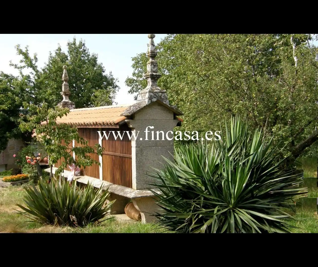 Finca rústica en venta en Monterroso