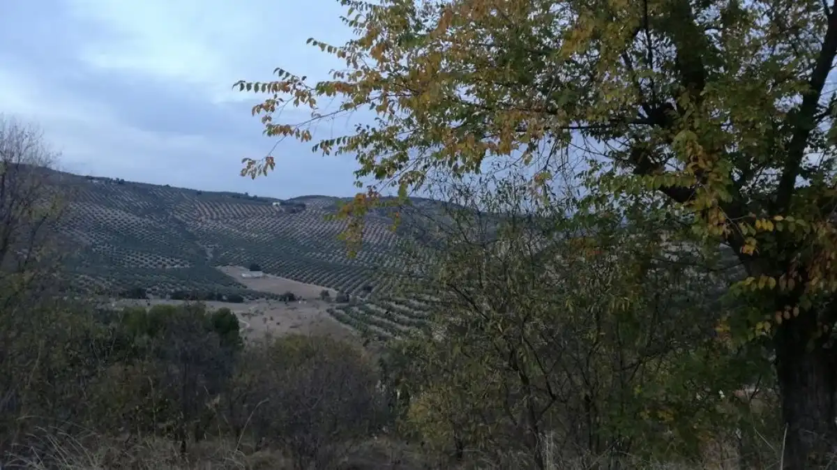 Grundstücke und Bauplätze zum Verkauf in Urbanizacion MONTESOL, imagen 3