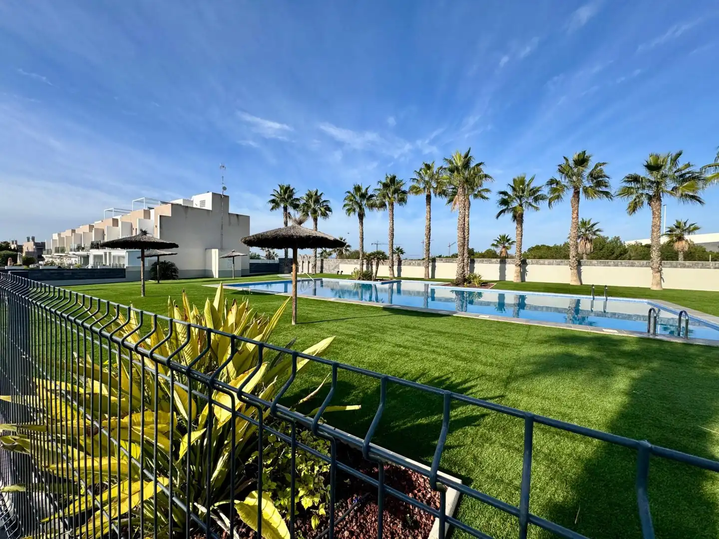 Piscina de Casa adosada en venta en Torrevieja con Jardín privado, Terraza y Balcón