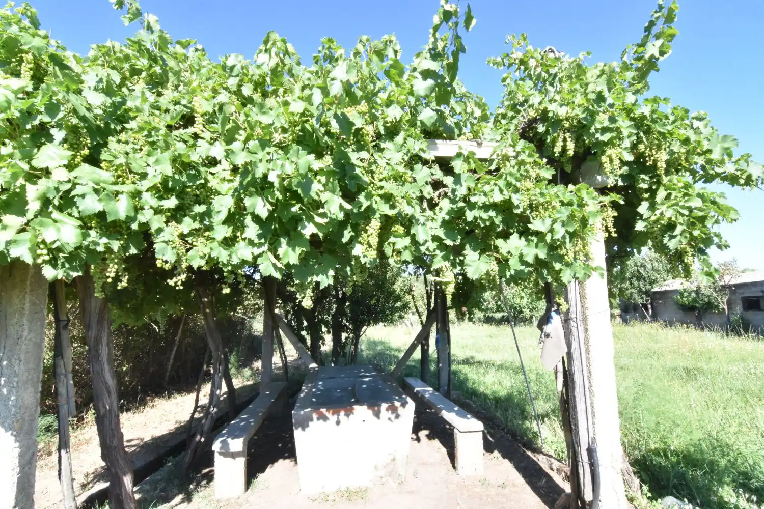 Jardín de Finca rústica en venta en Ciudad Rodrigo