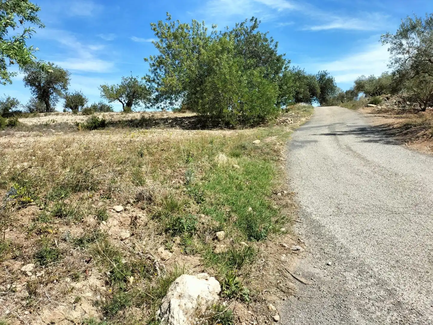Terreno rustico in vendita a Polígono 10 Parcela 488 LA LOMA. NAVARRES (VALENC, imagen 3