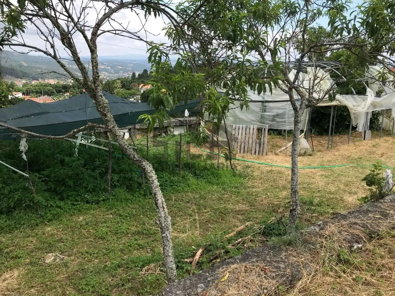 Casa o chalet en venta en San Cibrao das Viñas