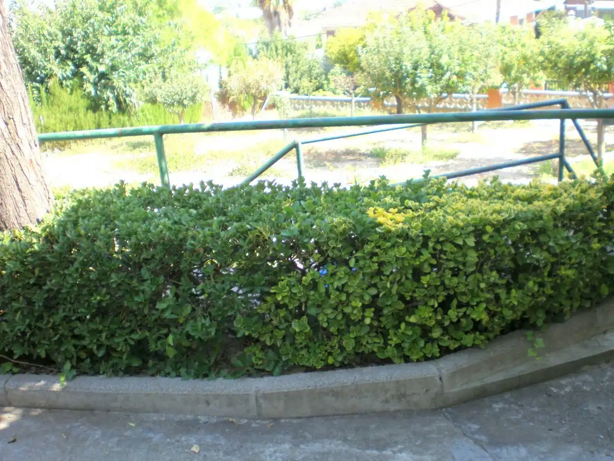 Lands and plots for sale in Can Rial, imagen 3