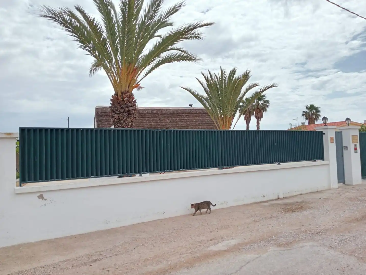 Casa rústica en venta en Eucaliptus- Poble Nou del Delta, imagen 22