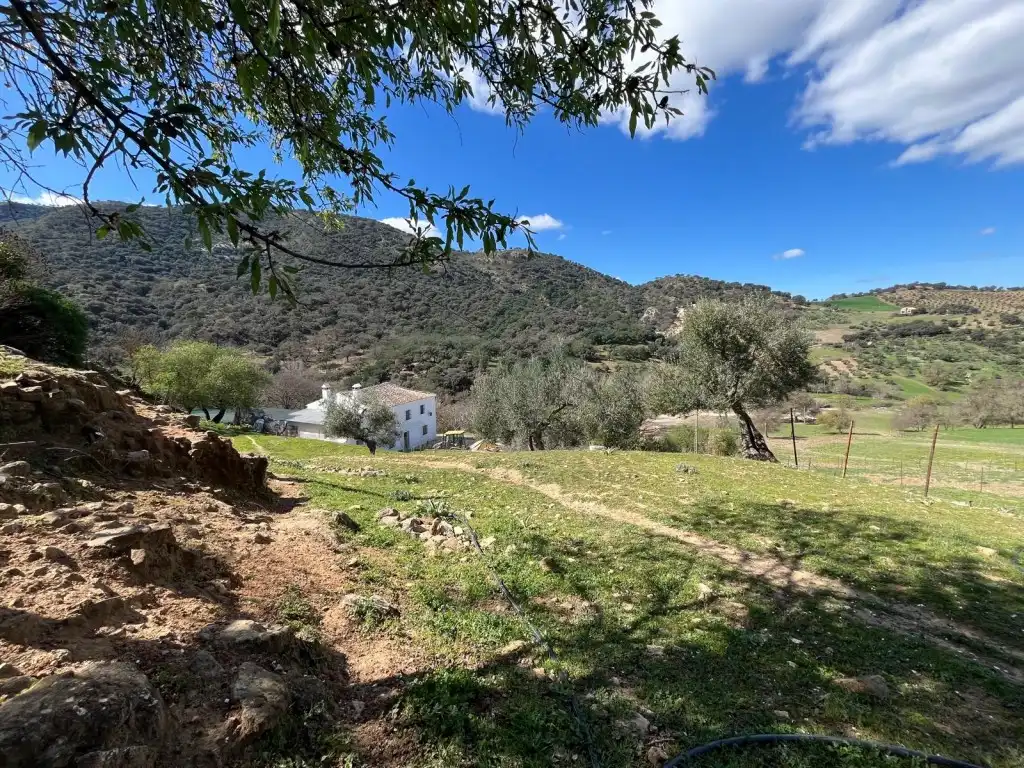 Vista exterior de Finca rústica en venda en Ronda