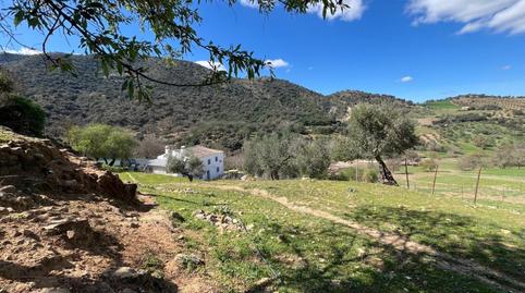 Foto 4 de Finca rústica en venda a N/a, Partidas Sur, Málaga