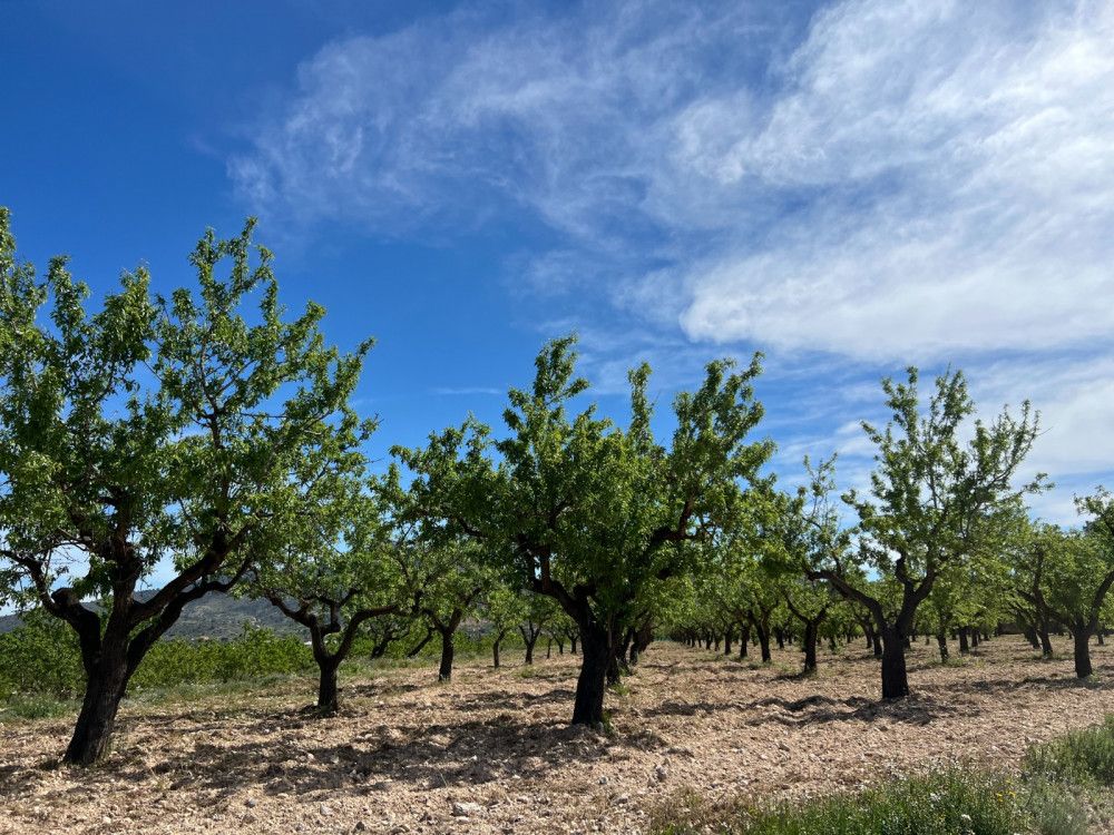 Vista exterior de Pis en venda en Hondón de los Frailes