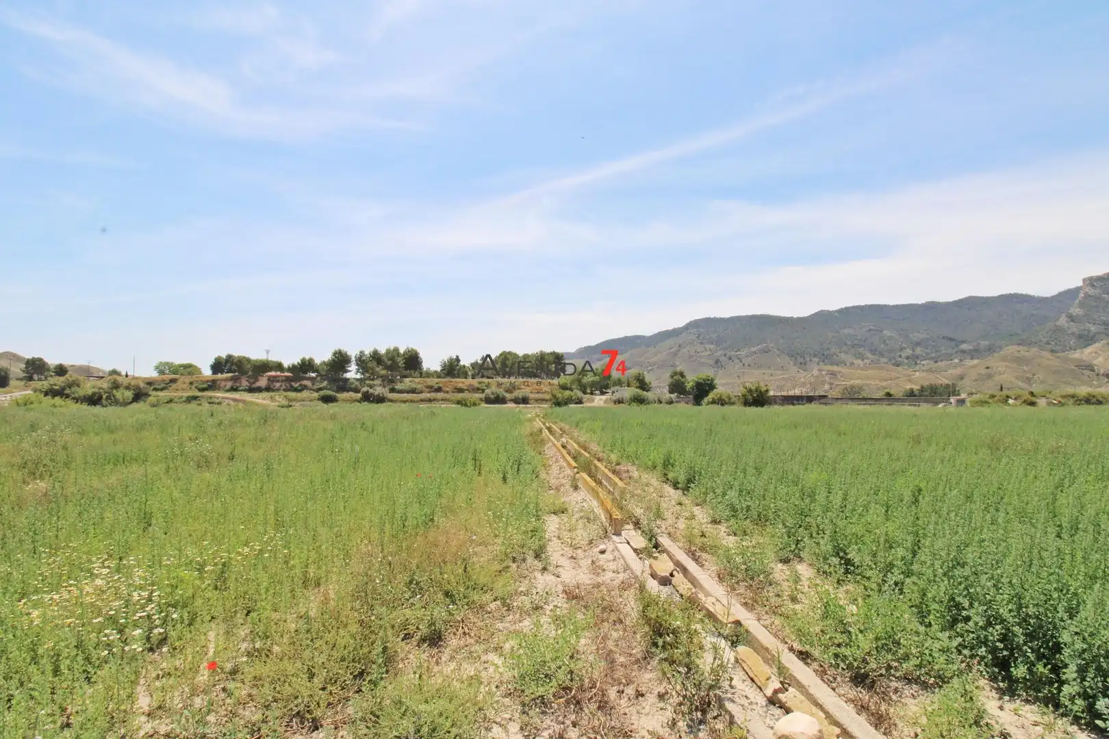 Terrains et parcelles à vendre à Lorca Ciudad, imagen 8