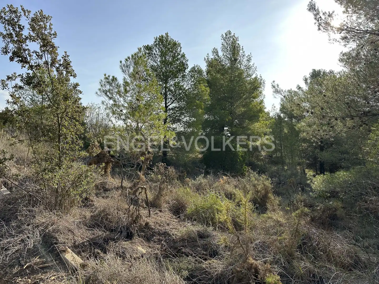 Residential land for sale in Torrelles de Foix, imagen 5
