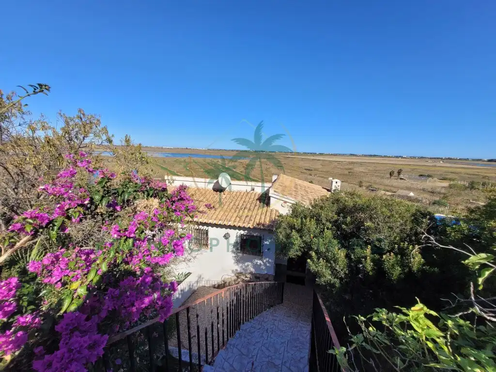 Maison à vendre à Avenida Pego, imagen 22