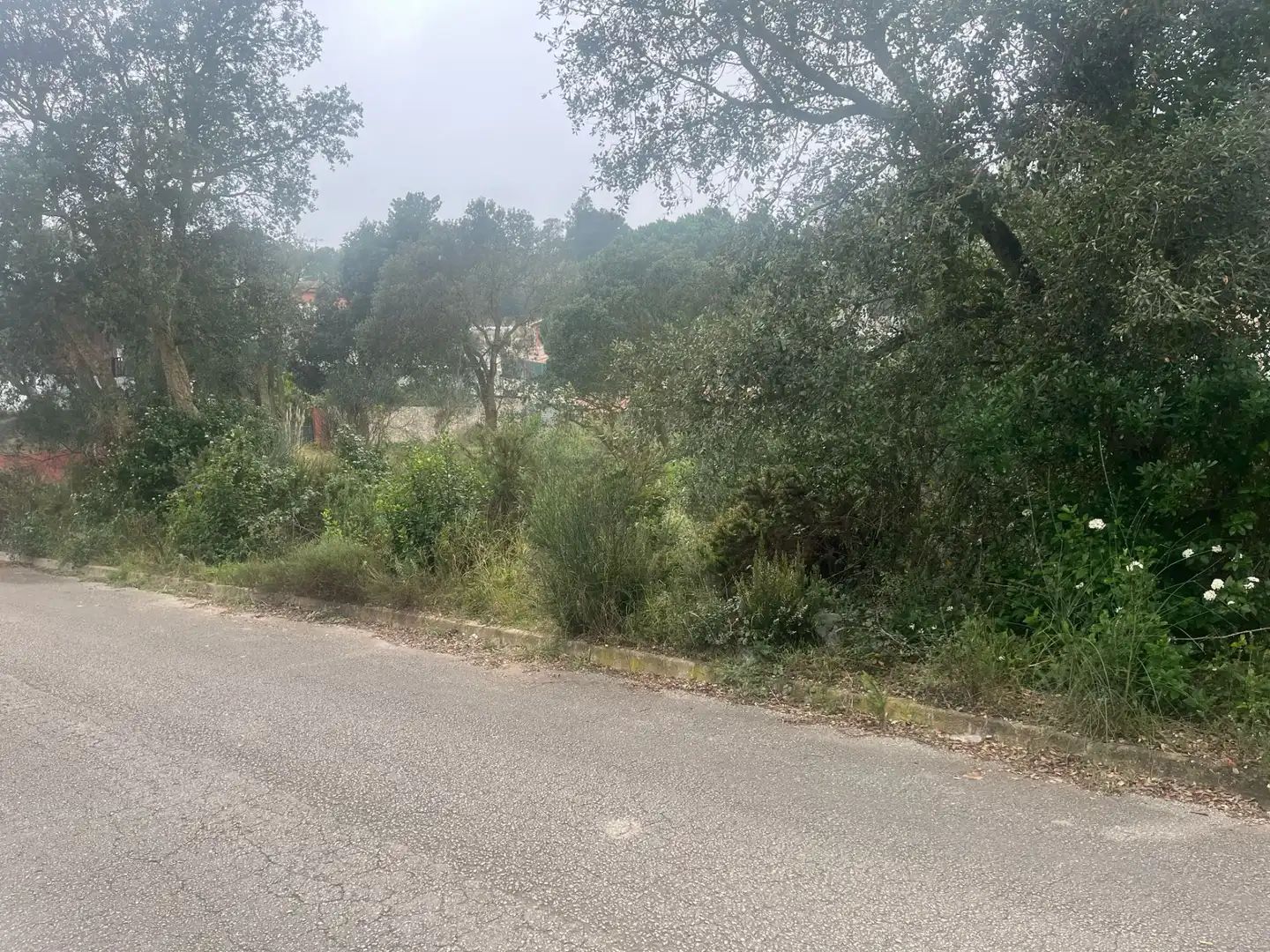 Wohnbaugrundstück zum Verkauf in Lloret Residencial - Montlloret, imagen 7