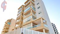 Vista exterior de Apartament en venda en Guardamar del Segura amb Jardí privat, Terrassa i Piscina comunitària