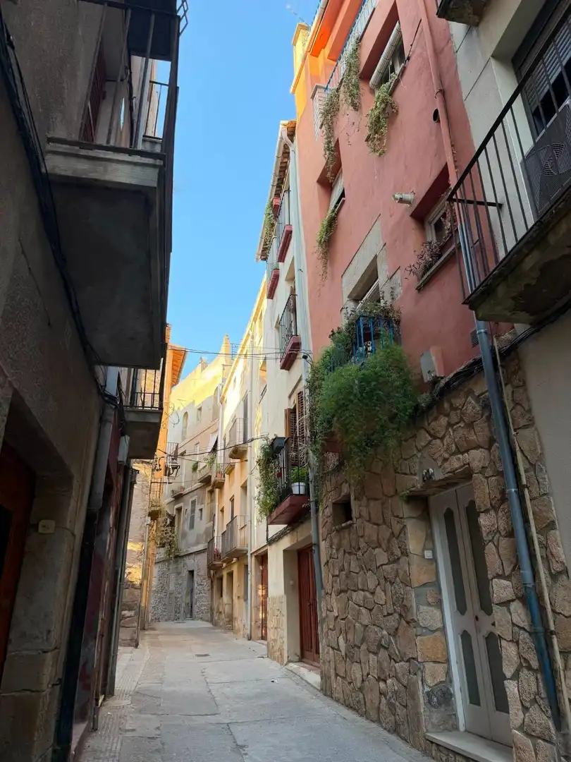 Vista exterior de Pis en venda en Tàrrega