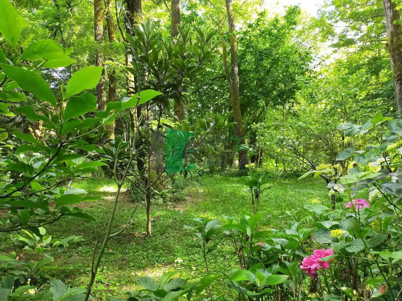 Haus mit Garten zum Verkauf in Leiro, imagen 9