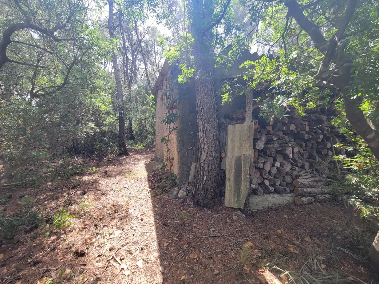 Terreni e lotti in vendita a Avenida dels Pirineus, imagen 33