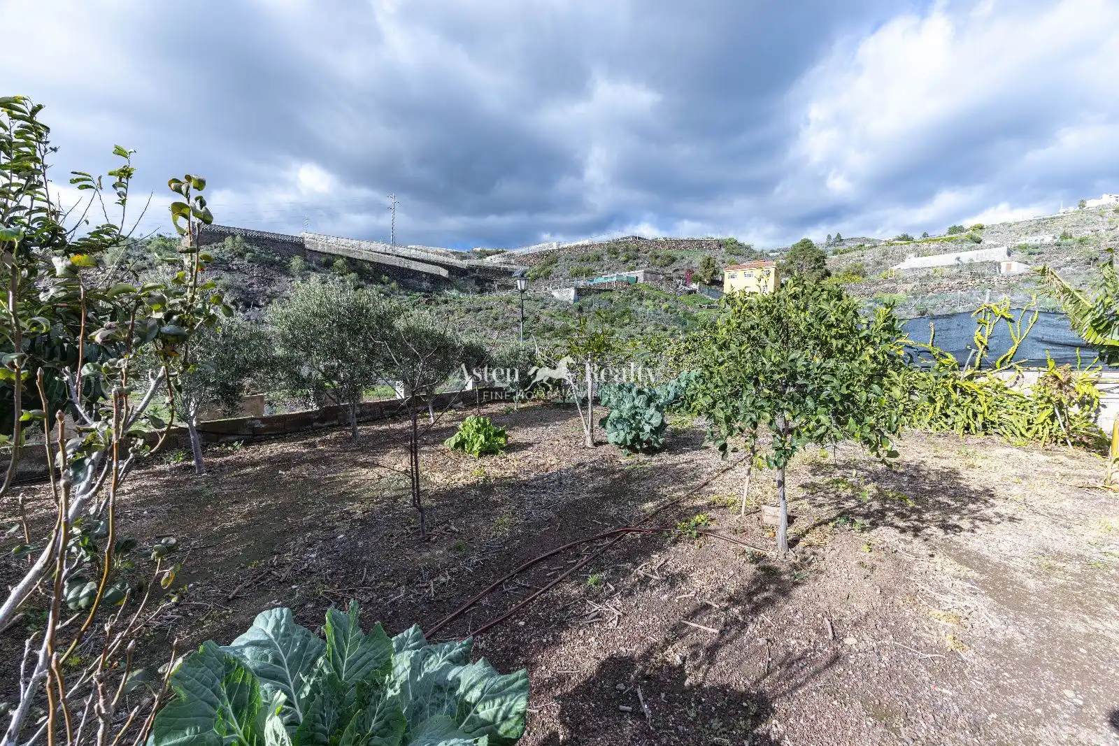 Garden of Houses for sale in Guía de Isora  with Terrace, Storage room and Swimming Pool