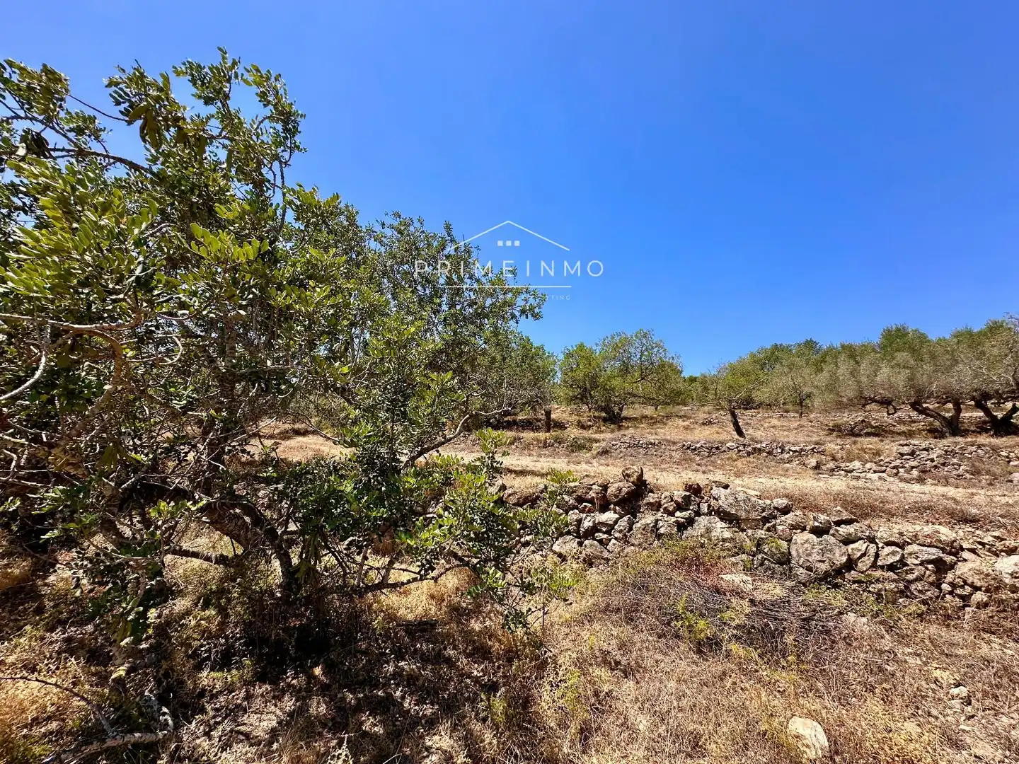 Finca rústica en venta en L'Ametlla de Mar 