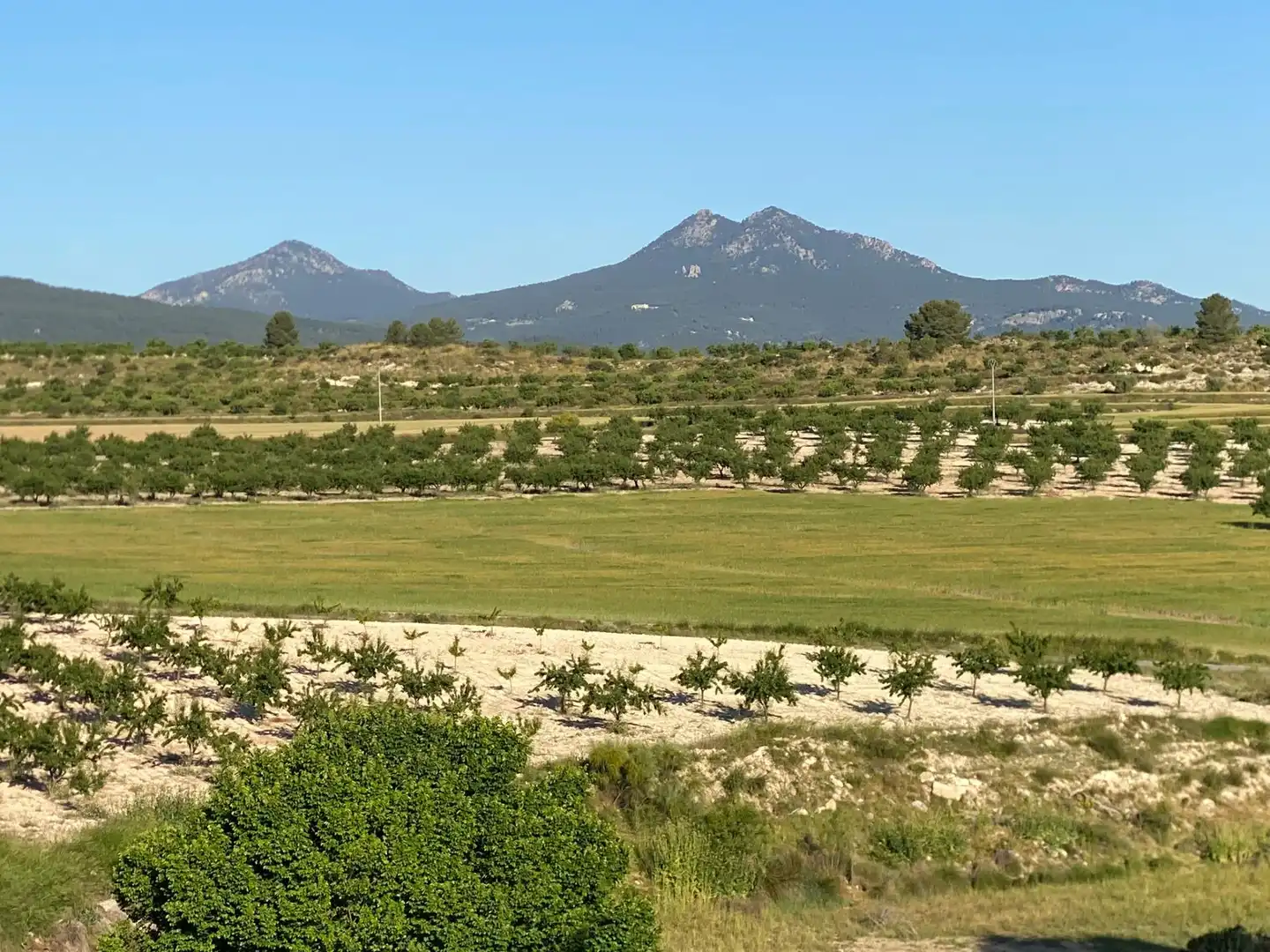 Villa à vendre à Moratalla, imagen 10