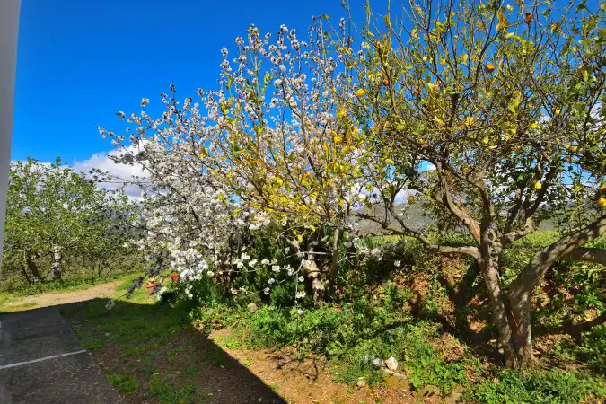 Garten von Country house zum Verkauf in Ronda mit Privatgarten