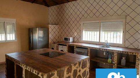 Foto 2 de Finca rústica en venta en Trigueros, Huelva