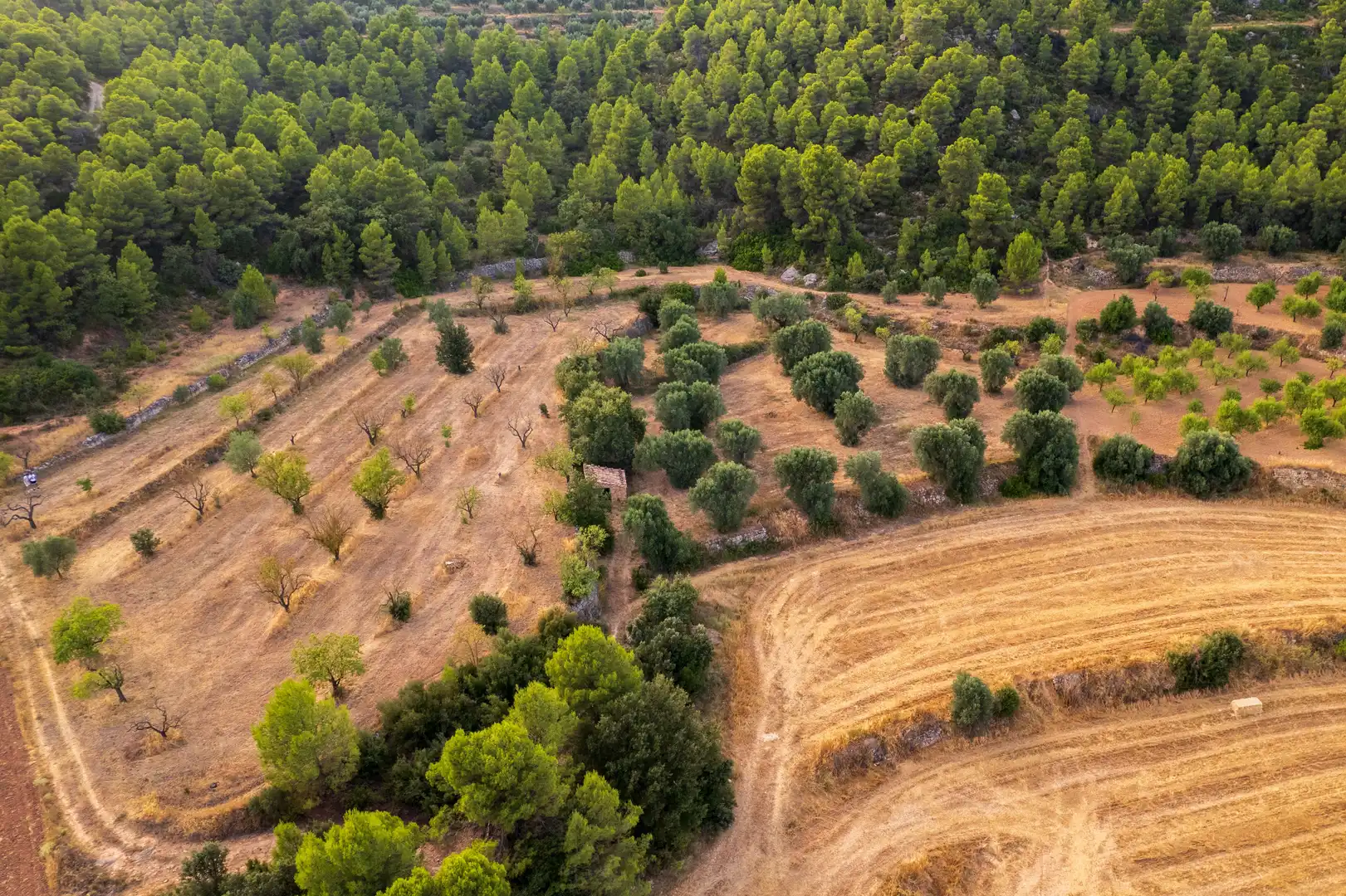 Terreni e lotti in vendita a Lledó, imagen 14