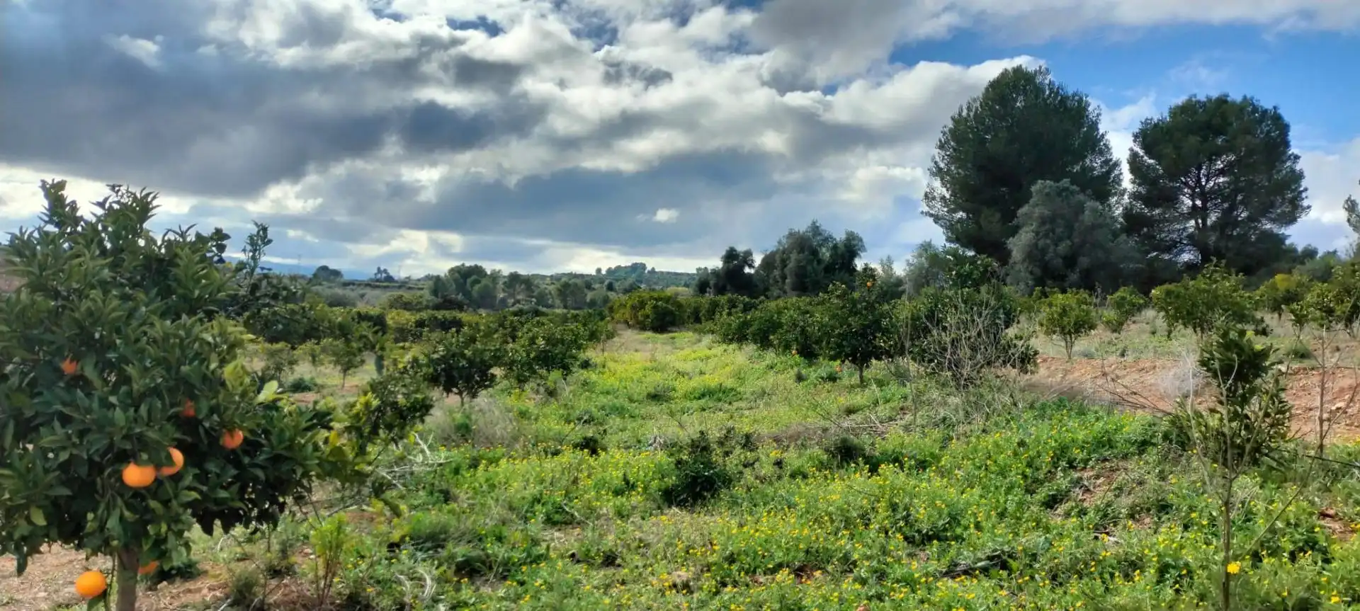 Land for sale in Rotglà i Corbera