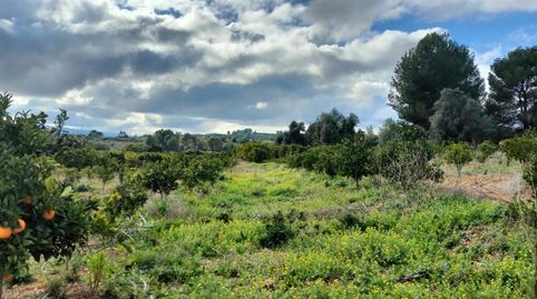 Foto 3 de Terreno en venta en Rotglà i Corbera, Valencia