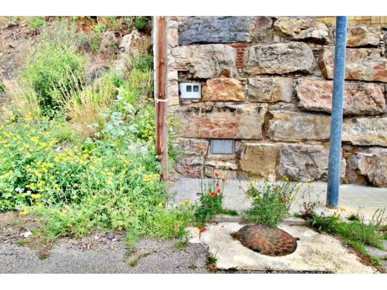 Rural land for sale in Calle Llosa, imagen 5