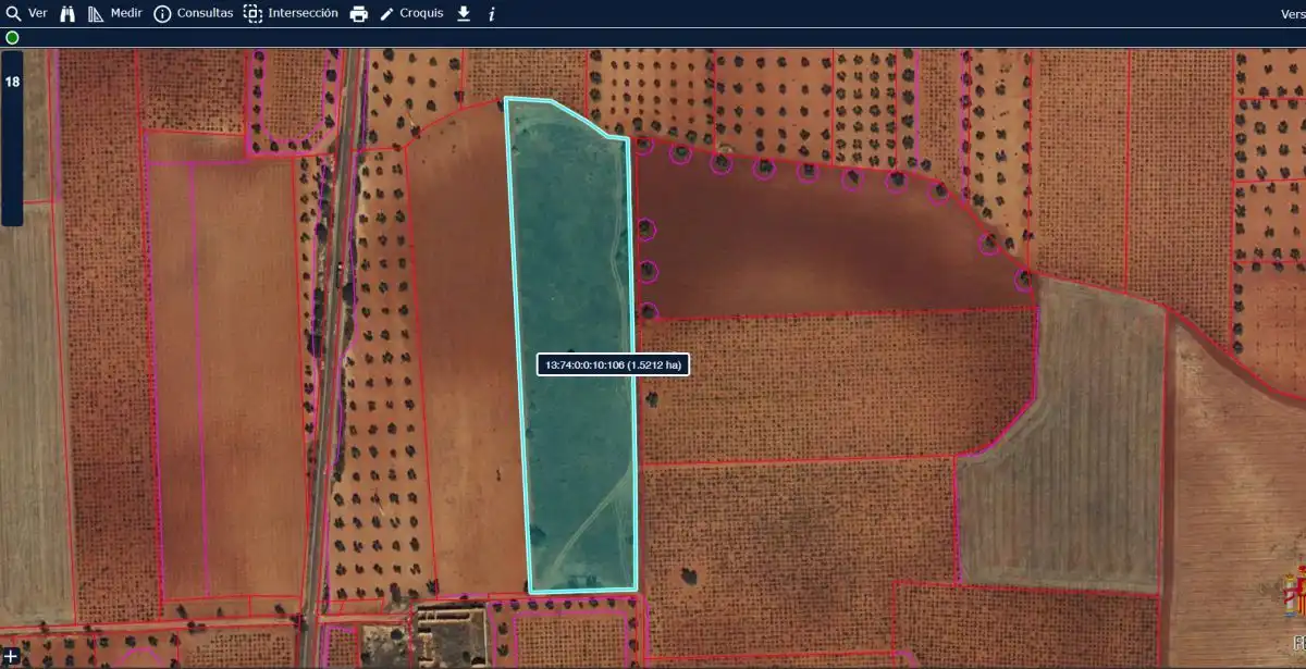 Terreno en venta en San Carlos del Valle