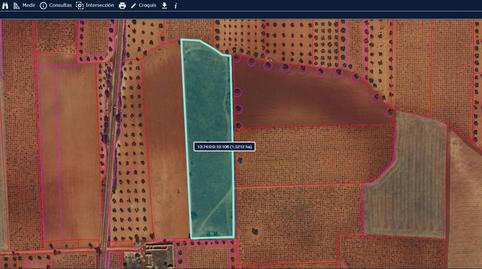 Photo 5 of Land for sale in San Carlos del Valle, Ciudad Real
