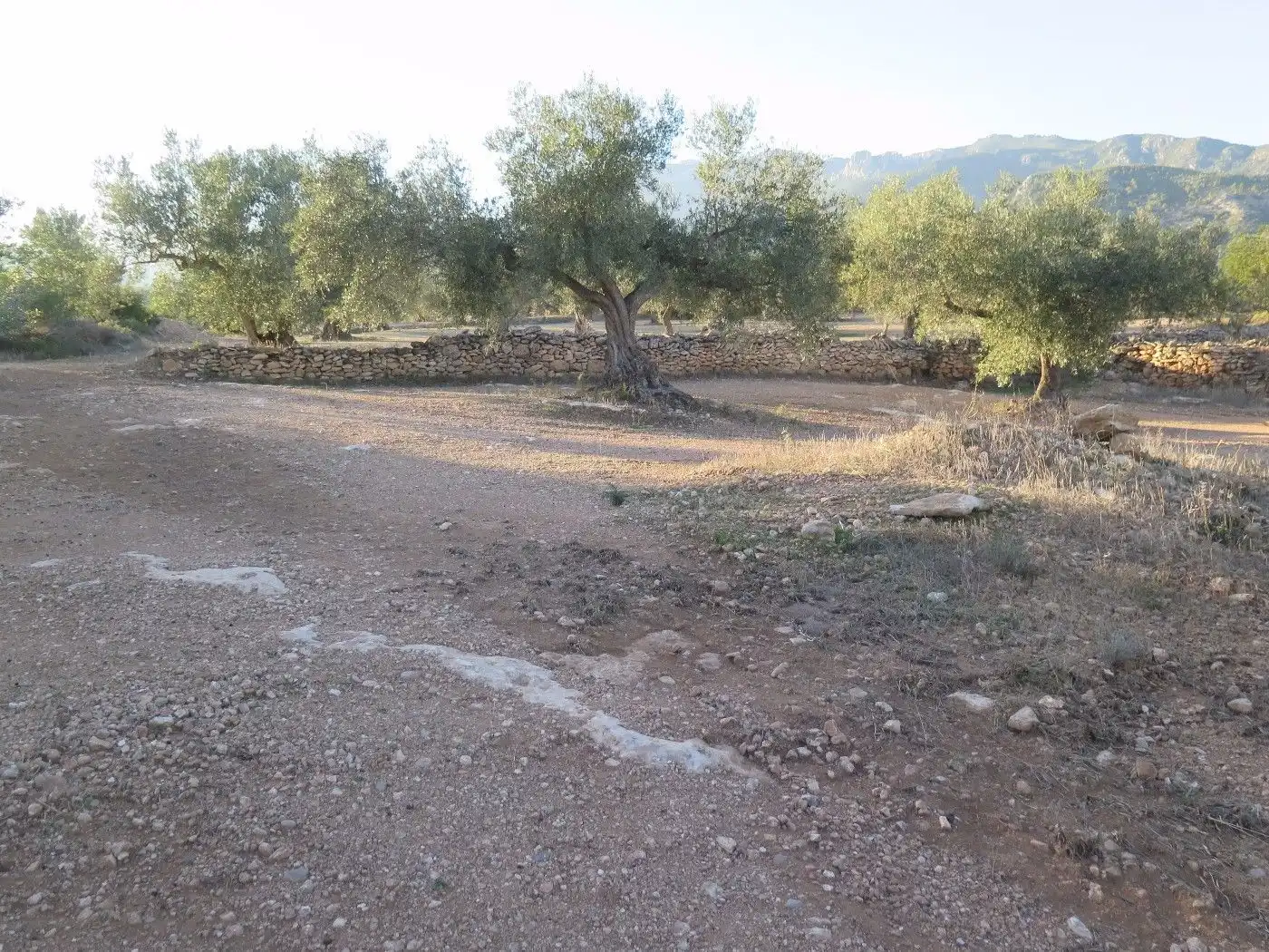 Terrain résidentiel à vendre à Xerta, imagen 5