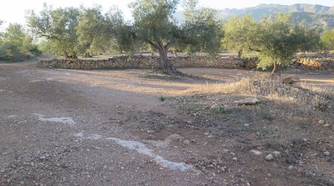 con casa de campo, imatge 5