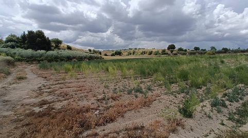 TIERRA DE REGADIO EN MORALEDA DE ZAFAYONA, imagen 4