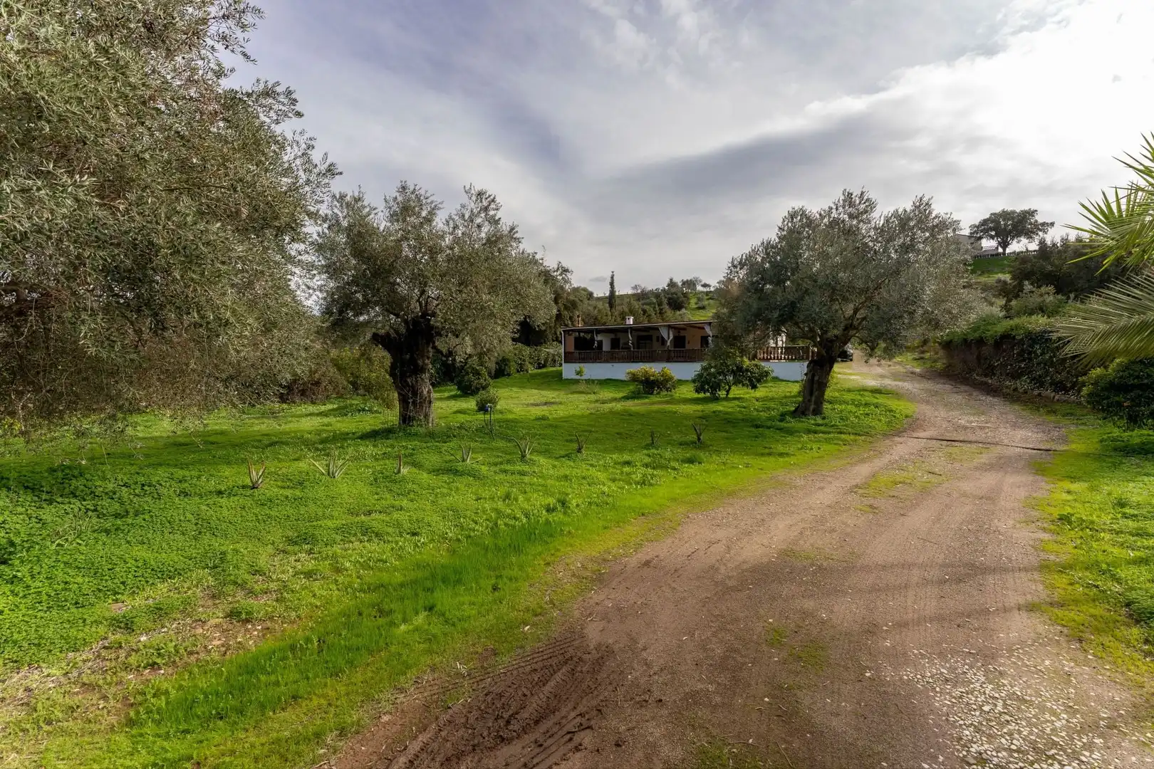 Finca rústica en venta en Monda con Trastero y Piscina