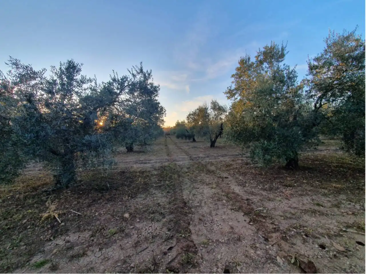 Residencial en venta en Entrín Bajo