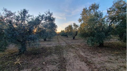 Parcela en venta en Entrín Alto, immagine 4