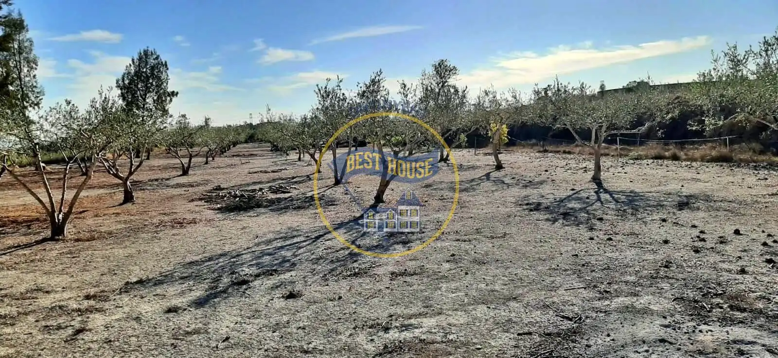 Finca rústica en venda en Albaida amb Traster i Piscina