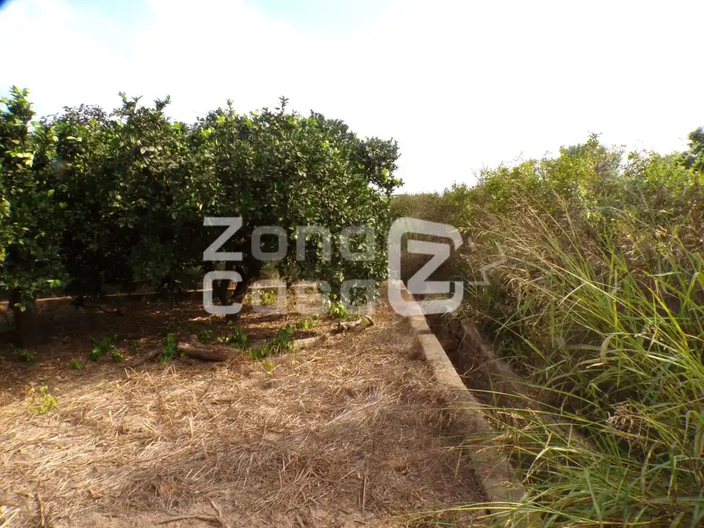 Country house for sale in Partida Marjaletes, imagen 6
