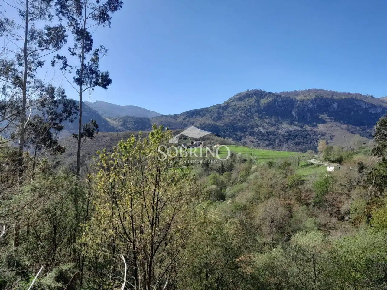 House with garden for sale in Calle Rieña 1, imagen 8