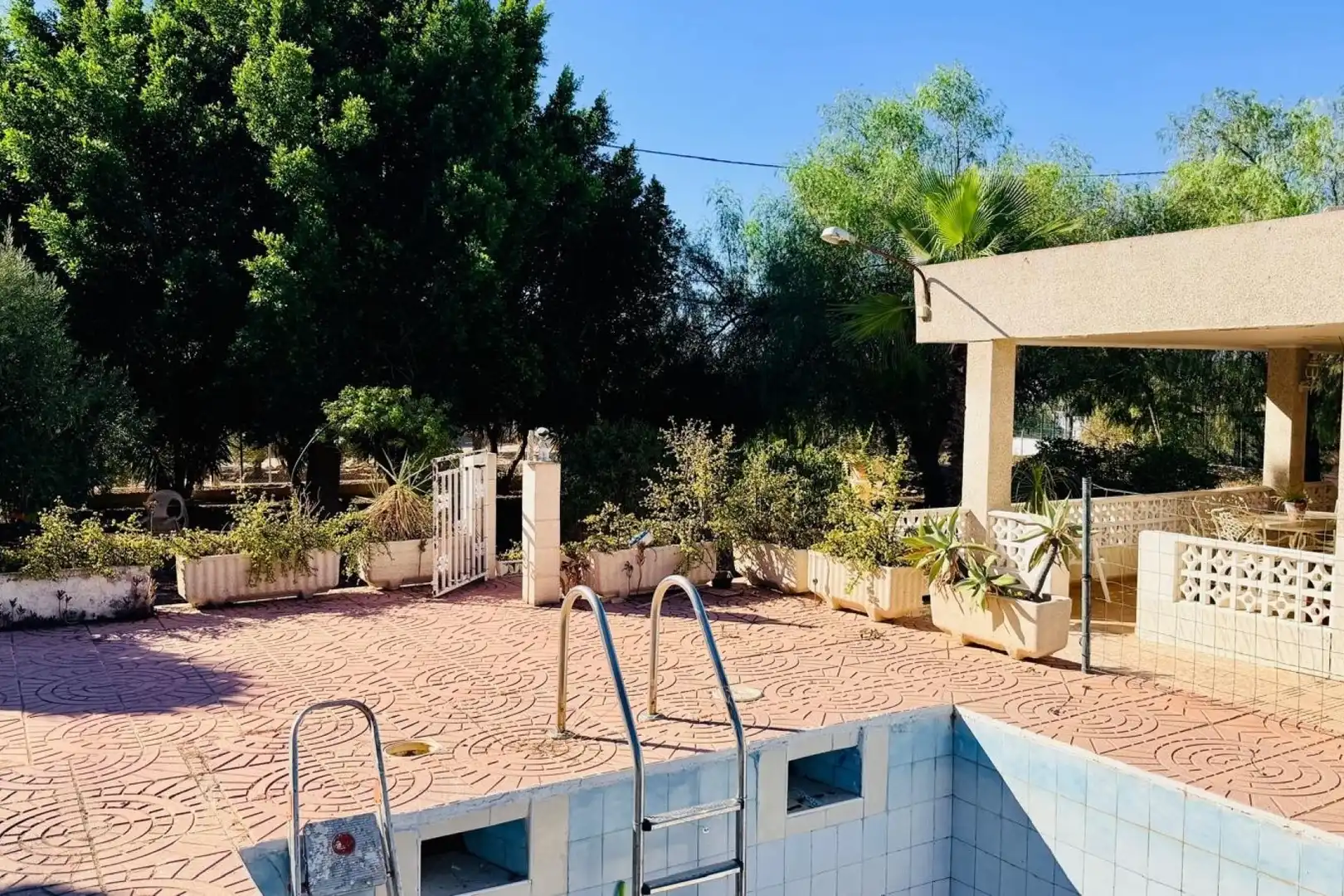 Piscina de Casa o chalet en venta en Crevillent, Alicante