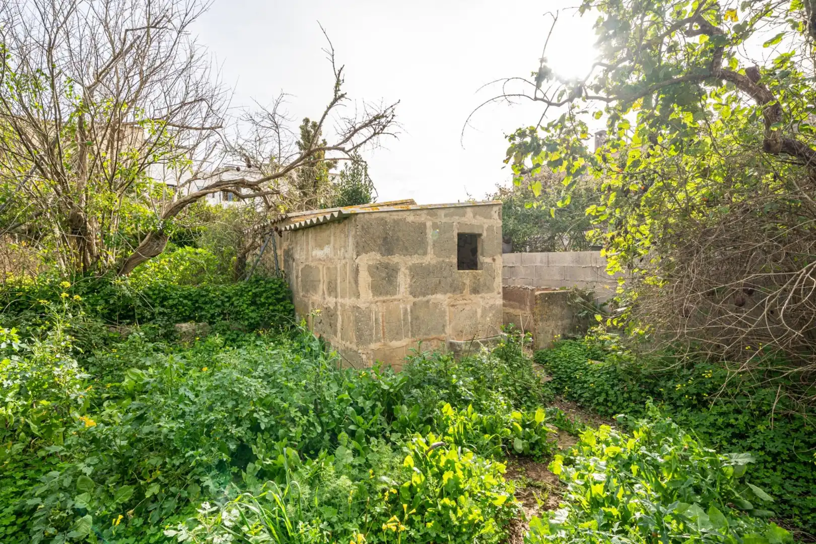 Casa o xalet en venda en Felanitx