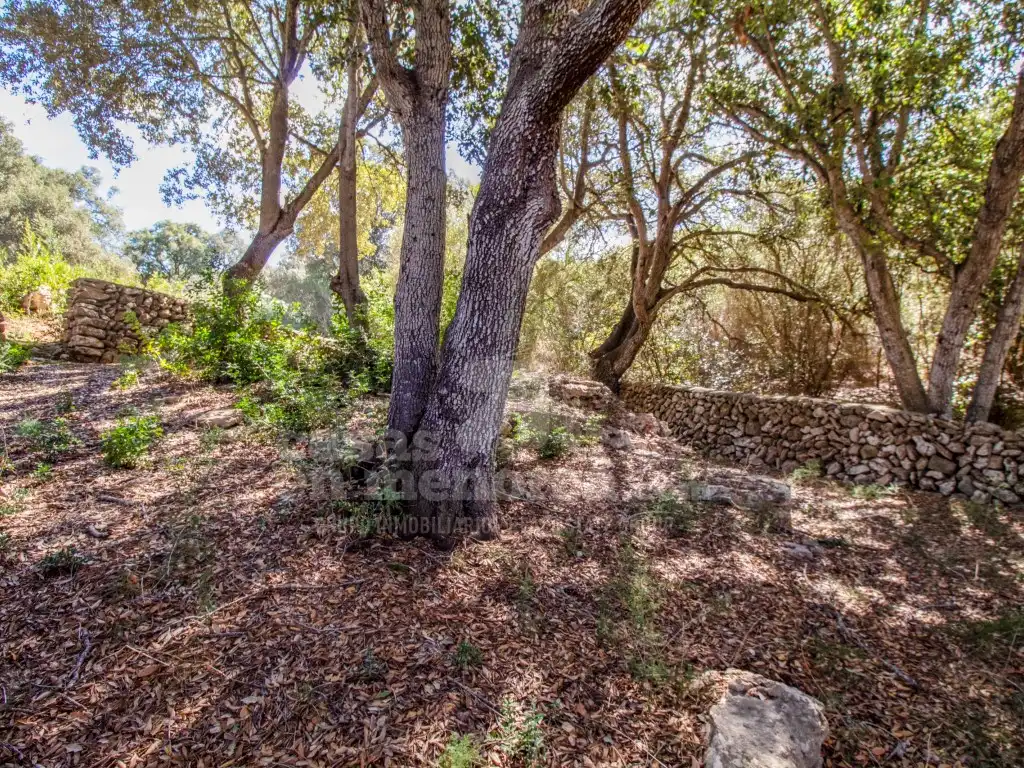 Finca rústica en venda en Es Mercadal amb Jardí privat