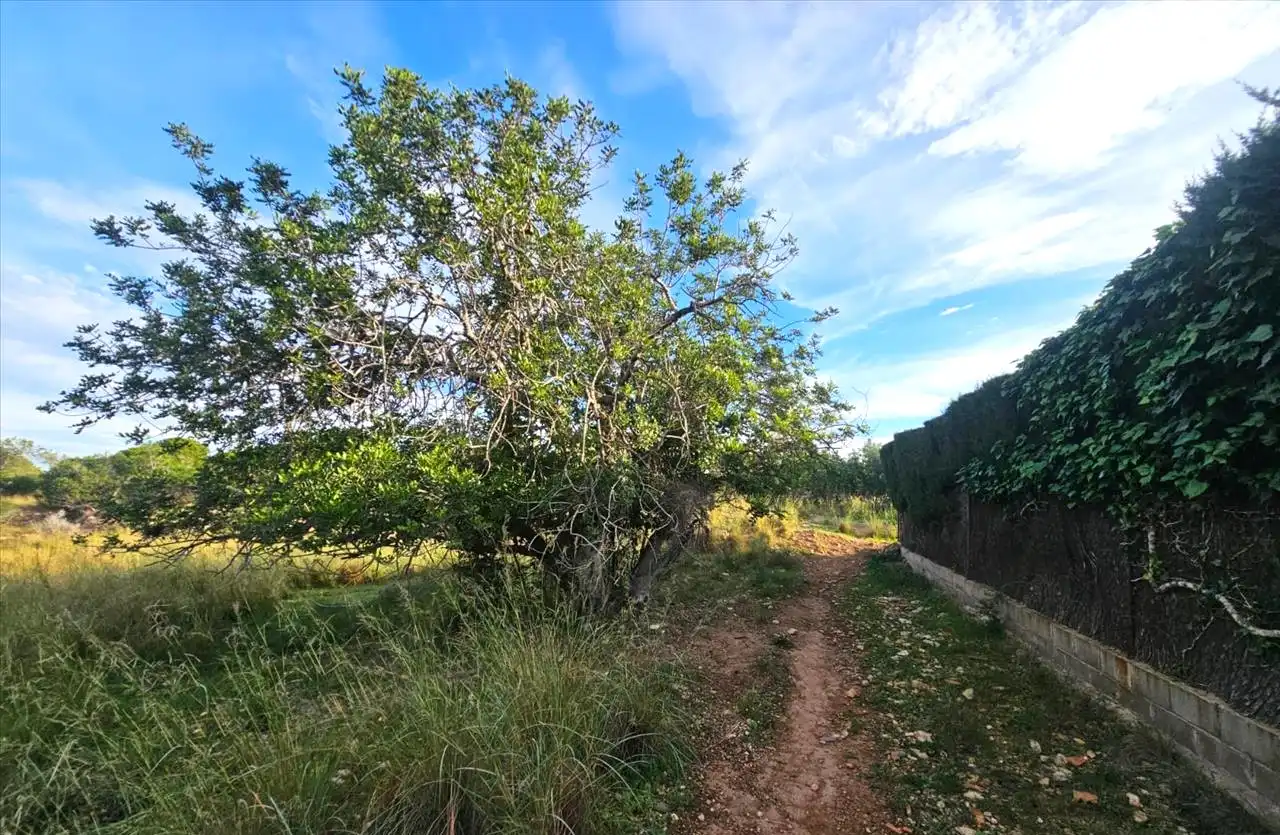 Residential land for sale in Proc. Simplificado, imagen 12