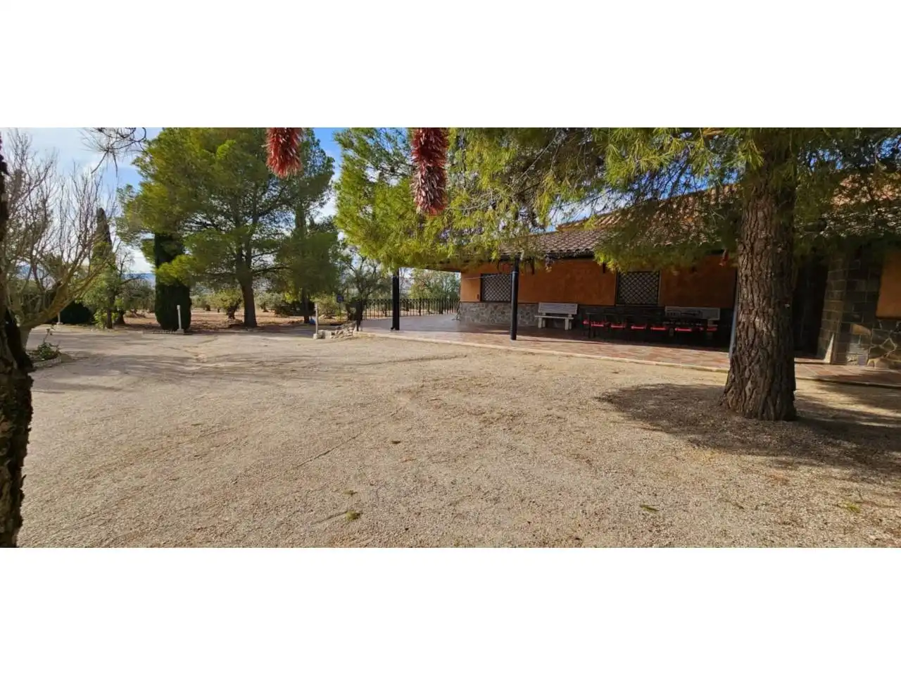 Chalet con piscina en venta en Jumilla, imagen 59