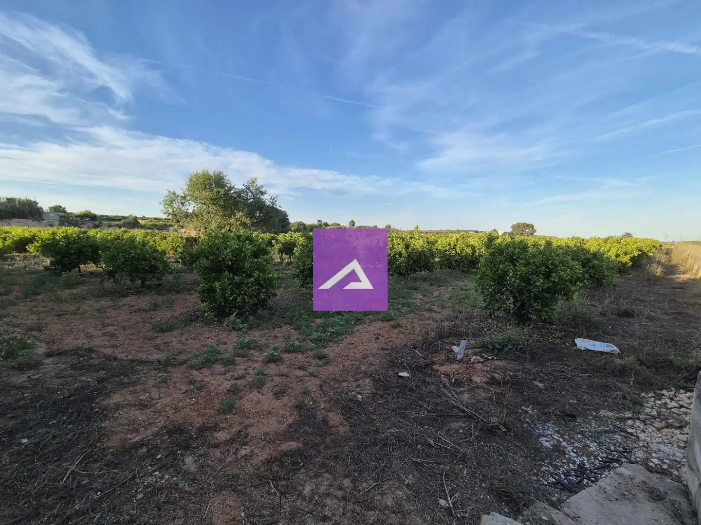 Land for sale in Picassent