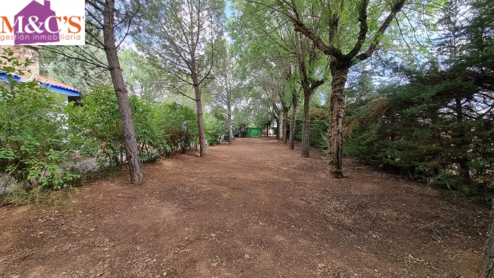 Terreno rustico in vendita a Argamasilla de Calatrava, imagen 4