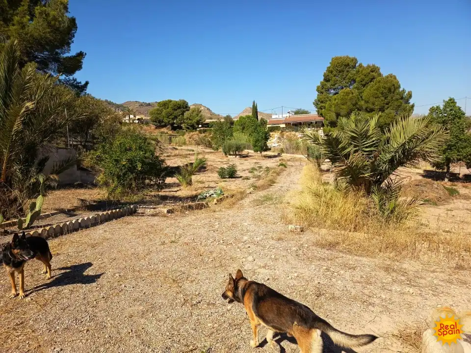 Vista exterior de Finca rústica en venda en Lorca amb Piscina i Balcó
