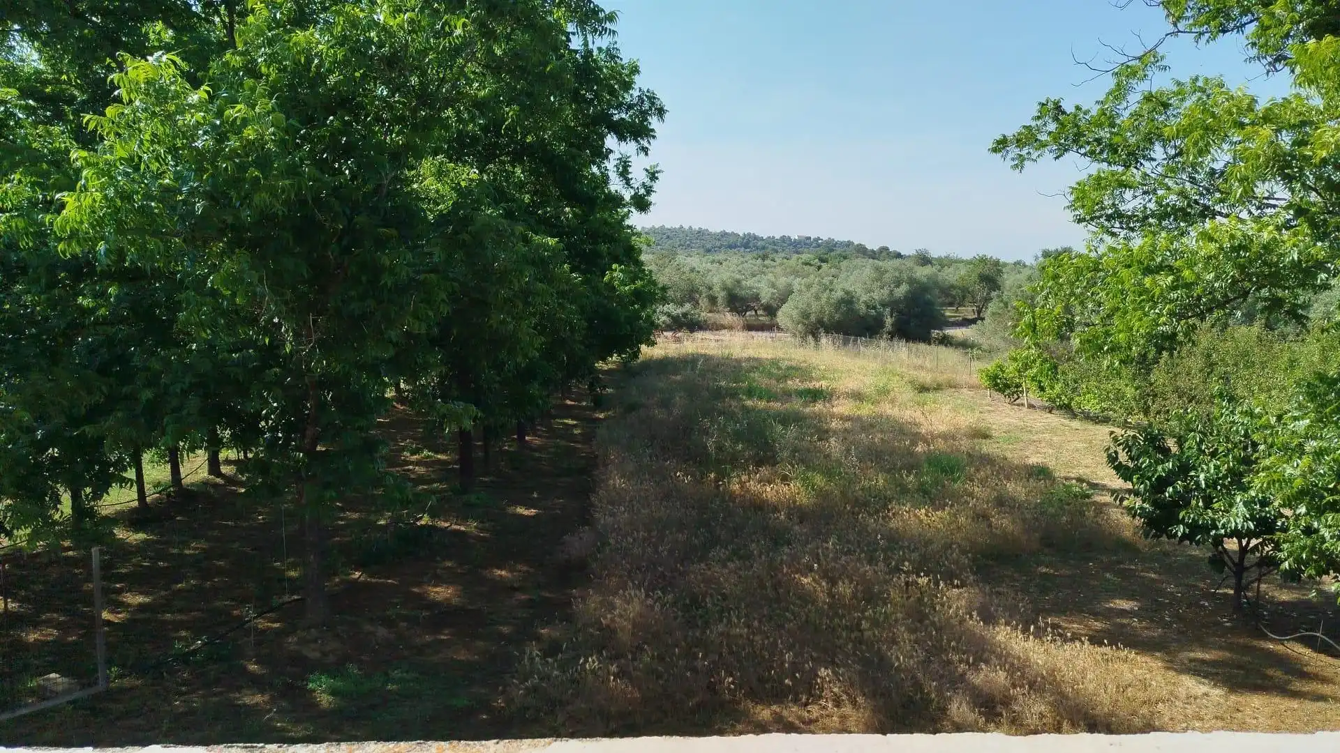 Terreno rústico en venta en Casc Antic, imagen 16