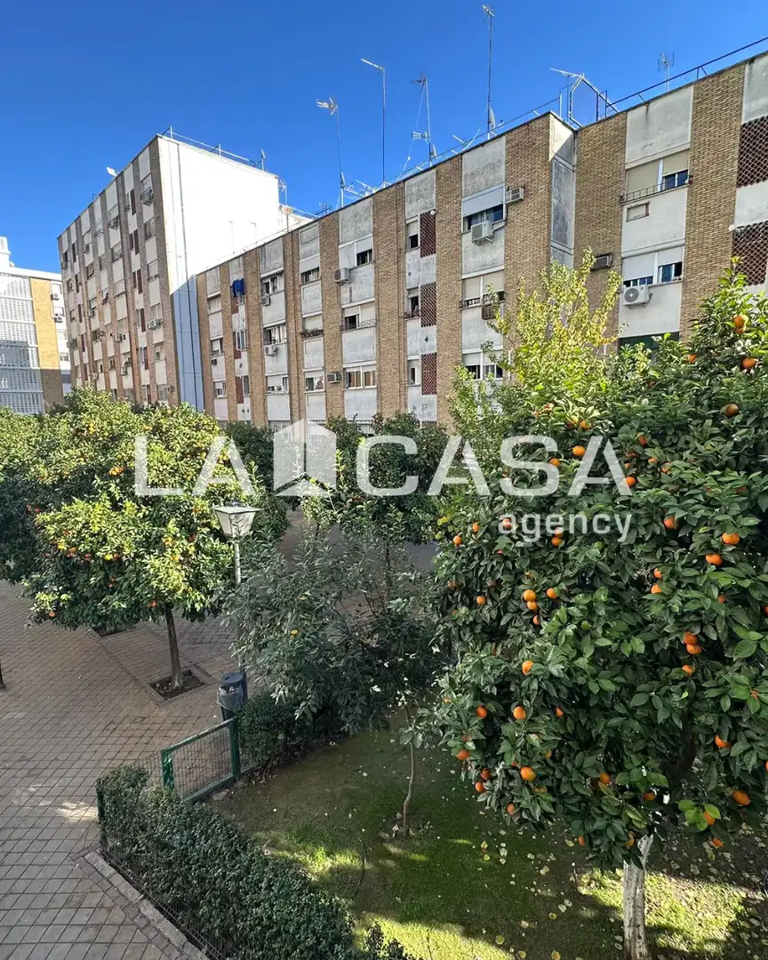 Exterior view of Flat for sale in Sevilla  with Terrace